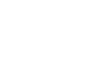 Woodstock 2